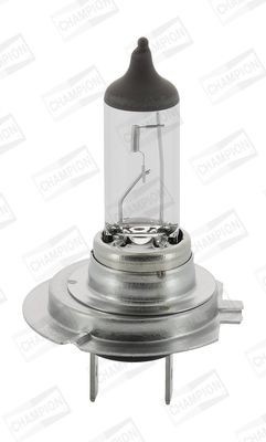 CHAMPION Fernscheinwerfer Glühlampe MAN CBH06S in Original Qualität