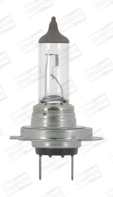 CHAMPION Fernscheinwerfer Glühlampe MAN CBH114L in Original Qualität