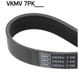 SKF VKMV 6PK2055 Multi-V-Riemen