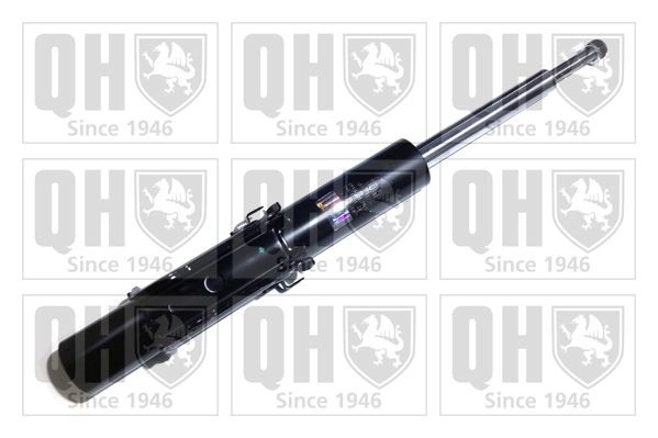 QUINTON HAZELL QAG181238 Shock absorber 2E0413023BA