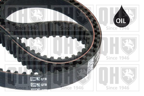 QUINTON HAZELL Number of Teeth: 46 10mm Width: 10mm Cam Belt QTB805 buy