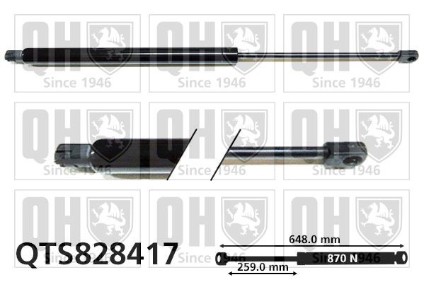 QUINTON HAZELL 870N, 648 mm Stroke: 259mm Gas spring, boot- / cargo area QTS828417 buy
