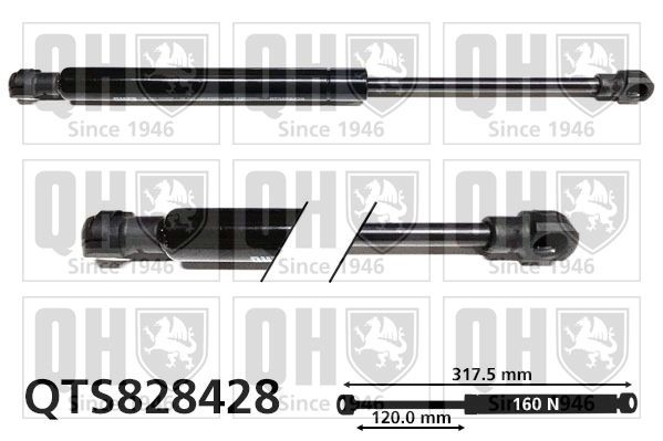 Toyota HILUX Pick-up Gas Spring, rear windscreen QUINTON HAZELL QTS828428 cheap