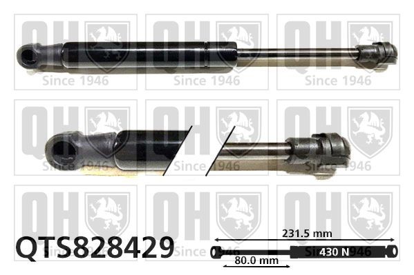 Chrysler Tailgate strut QUINTON HAZELL QTS828429 at a good price