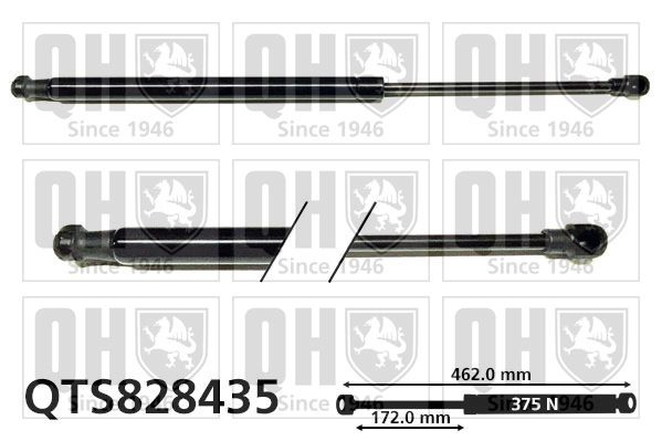 BMW 6 Series Tailgate strut QUINTON HAZELL QTS828435 cheap