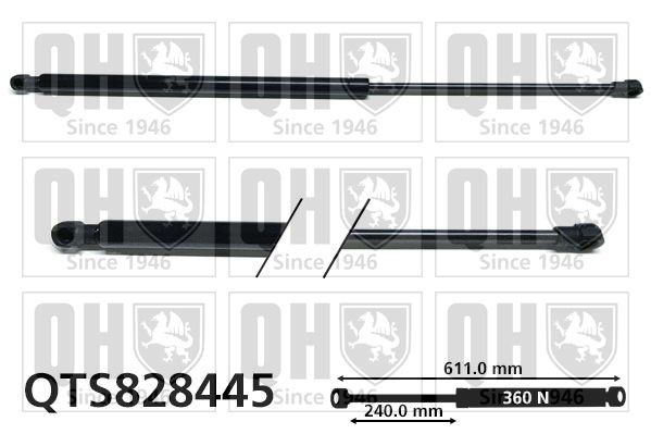 Toyota CARINA Tailgate strut QUINTON HAZELL QTS828445 cheap