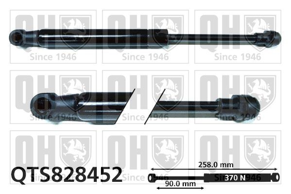 Heckklappendämpfer für VW Golf VI Variant (AJ5) elektrisch günstig im  Online Shop in Original Qualität