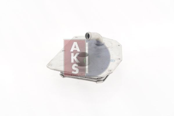 AKS DASIS 126018N Oil cooler, engine oil