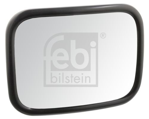 FEBI BILSTEIN 49995 Wide-angle mirror 3090389