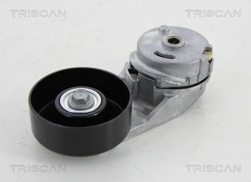TRISCAN 8641103044 Tensioner pulley 13 40 584