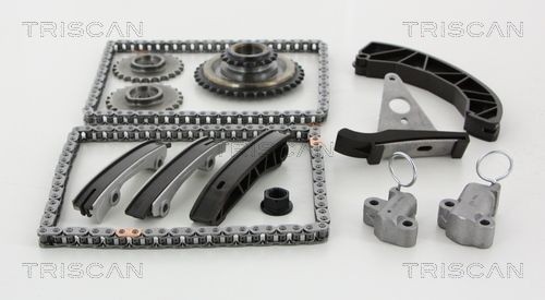 TRISCAN 865043003 Timing chain kit 24386-2A000