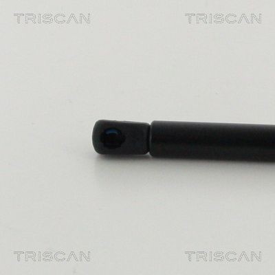 871038245 Boot gas struts TRISCAN 8710 38245 review and test