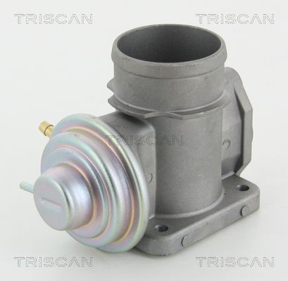 TRISCAN 8813 10101 EGR valve Pneumatic, without gaskets/seals