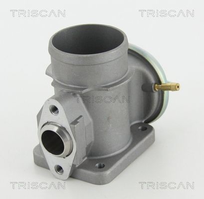 TRISCAN EGR valve 8813 10101