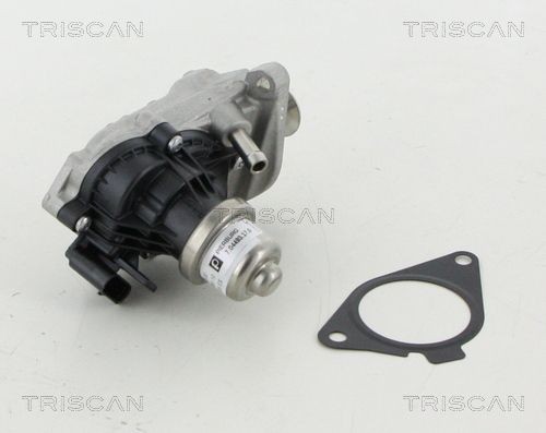 TRISCAN Electric, without gaskets/seals Number of pins: 4-pin connector Exhaust gas recirculation valve 8813 11007 buy