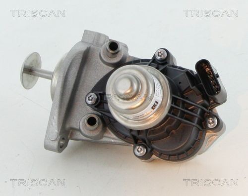 TRISCAN EGR valve 8813 11007