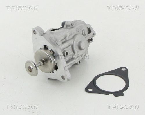 881311007 Exhaust gas recirculation valve TRISCAN 8813 11007 review and test