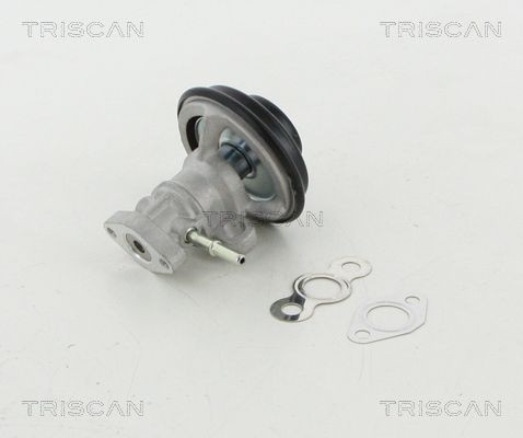 TRISCAN 8813 13030 EGR valve Pneumatic