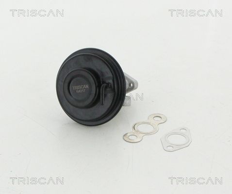 TRISCAN EGR valve 8813 13030