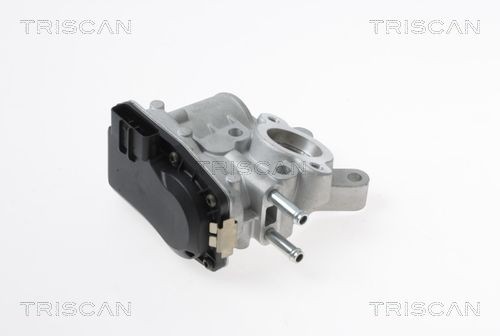 Nissan NP300 PICKUP EGR valve TRISCAN 8813 14100 cheap