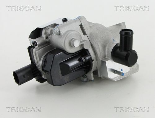 TRISCAN Electric, without gaskets/seals Number of pins: 5-pin connector Exhaust gas recirculation valve 8813 18046 buy