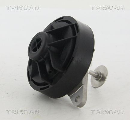 TRISCAN EGR valve 8813 24103