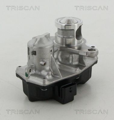 TRISCAN 881325042 EGR valve 6000616782