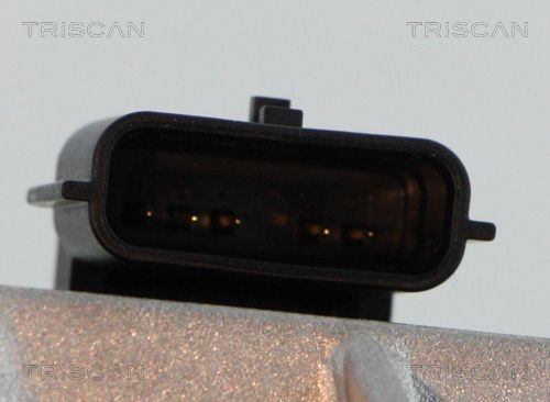 TRISCAN EGR valve 8813 25042