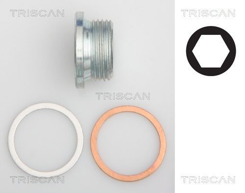 TRISCAN 95001018 Sealing Plug, oil sump 484 7102