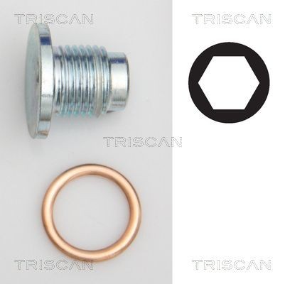 TRISCAN 95001019 Seal Ring, nozzle holder 0313.38