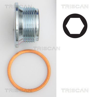 TRISCAN 95002301 Sealing Plug, oil sump 1309970032