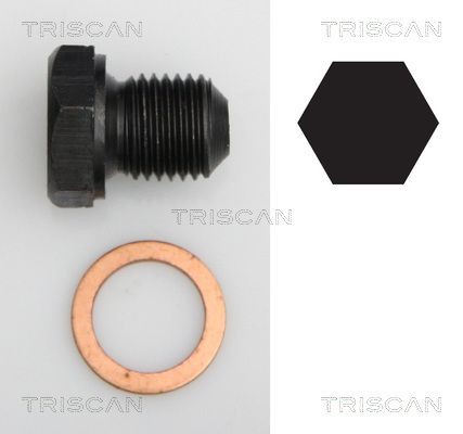 TRISCAN 9500 2902 Sealing Plug, oil sump M14x1,50, Spanner Size: 19