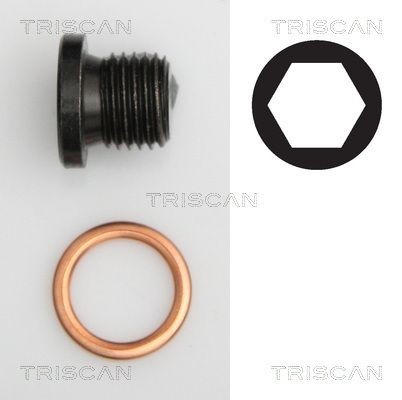 TRISCAN 95002906 Sealing Plug, oil sump N 911 014 02