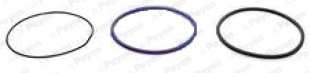 PAYEN HL5379 O-Ring Set, cylinder sleeve 85 103 699