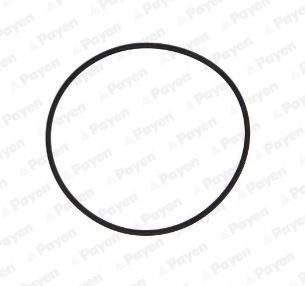 PAYEN LA5245 O-Ring, cylinder sleeve 51 96501 0534