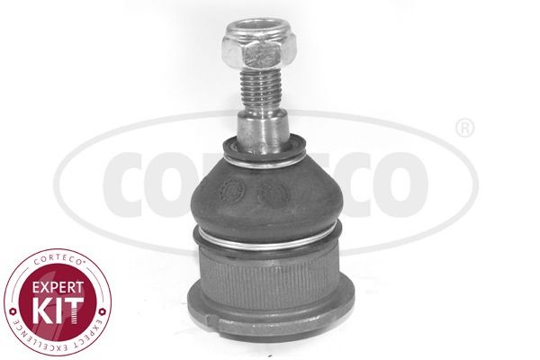 49399251 CORTECO Suspension ball joint BMW Front Axle, Lower, outer