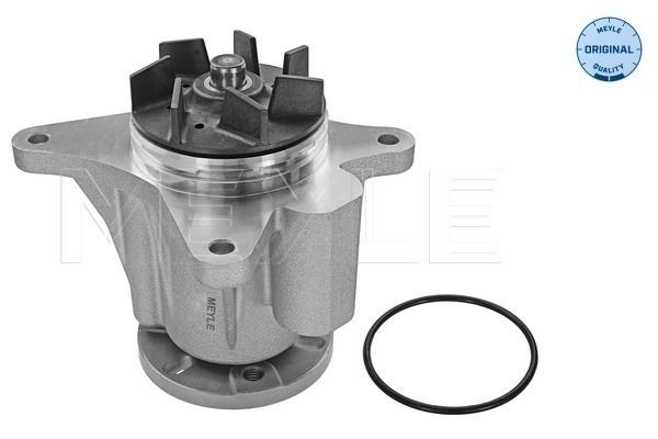Land Rover DEFENDER Coolant pump 12851914 MEYLE 53-13 220 0008 online buy