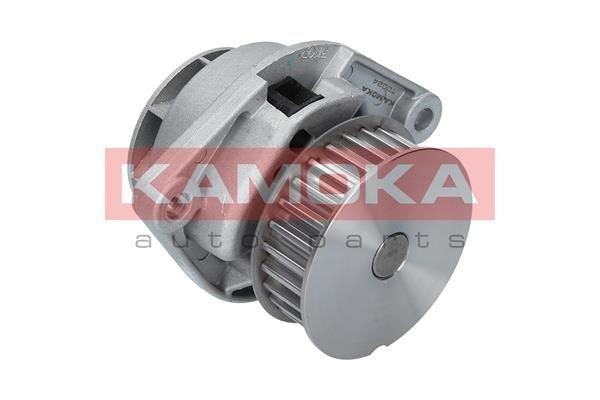 KAMOKA Water pump for engine T0024
