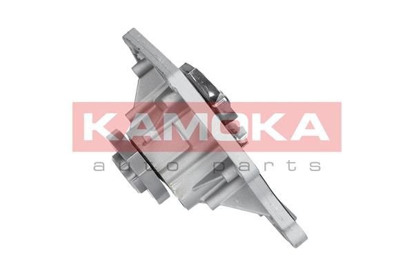 Original T0035 KAMOKA Water pump experience and price