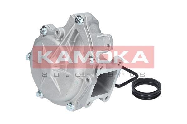 KAMOKA Water pump for engine T0049