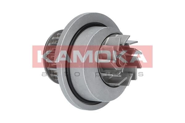 Great value for money - KAMOKA Water pump T0070