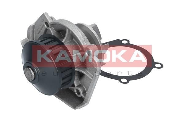 Great value for money - KAMOKA Water pump T0117