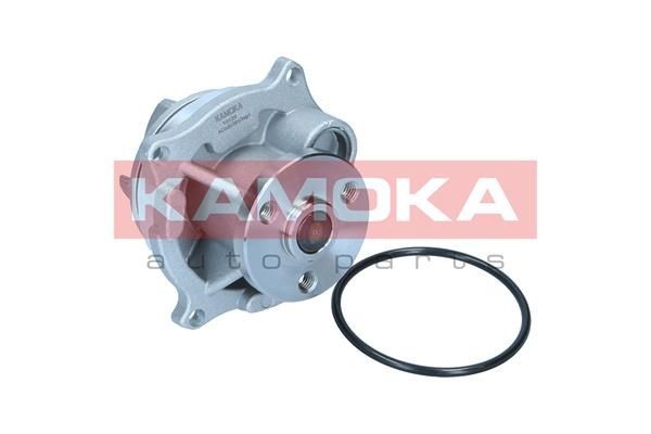 Ford FIESTA Engine water pump 12871869 KAMOKA T0129 online buy