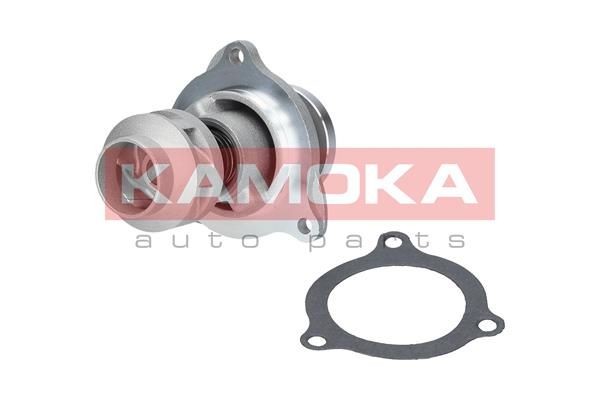 Great value for money - KAMOKA Water pump T0135