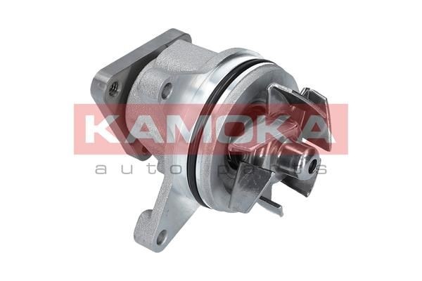 Great value for money - KAMOKA Water pump T0136