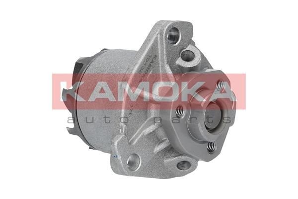 Volkswagen PASSAT Engine water pump 12871878 KAMOKA T0138 online buy