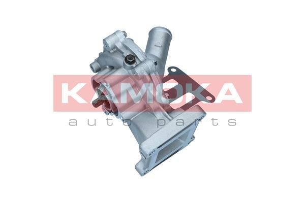 KAMOKA T0141 Water pump with housing, for gear drive