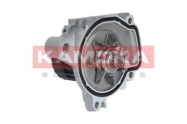 Great value for money - KAMOKA Water pump T0148