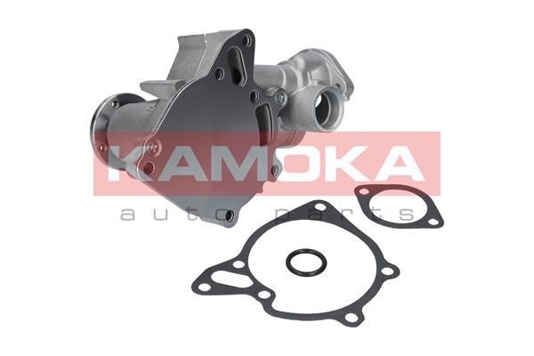 Iveco MASSIF Belts, chains, rollers parts - Water pump KAMOKA T0162
