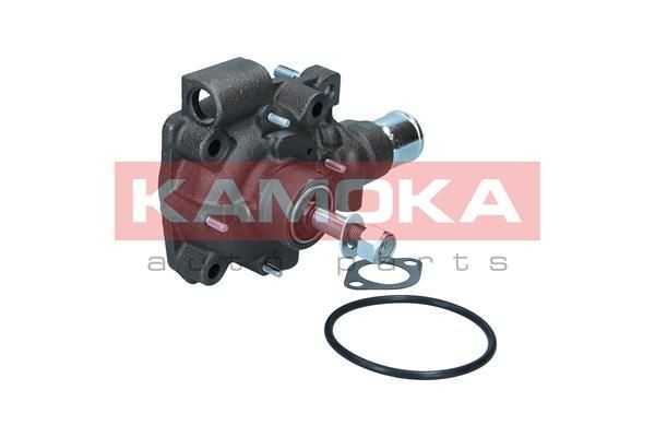 KAMOKA T0165 Water pump 5003 61919